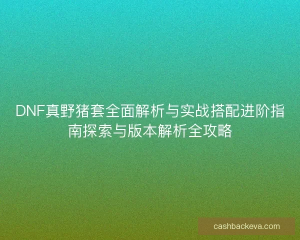 DNF真野猪套全面解析与实战搭配进阶指南探索与版本解析全攻略